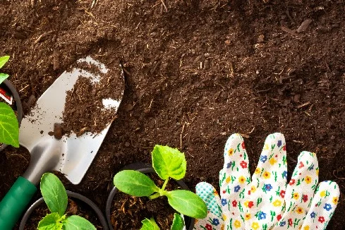 Blumentöpfe auf Erde mit Handschuh und Schaufel